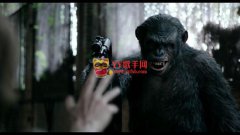《猩球崛起2》電影影評：非我族類，其心必異