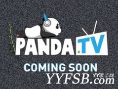 王思聰的熊貓TV即將上線 網絡直播成新興火爆產業