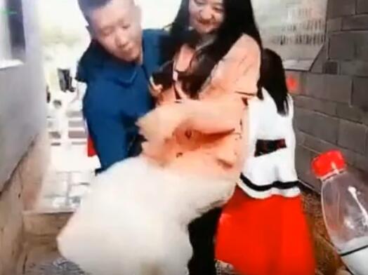 舞帝主播小白龍，未得到允許，對街頭美女“公主抱”
