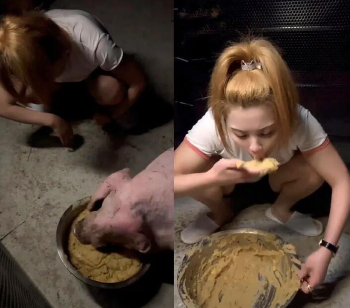 PK被懲罰給豬“下跪”，還吃豬吃過的豬食，千萬女網紅琪兒無底線