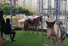 成都雙流萬達廣場驚現“旋轉真馬” 回應：已暫停營業